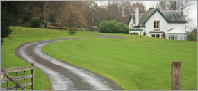 home_watch_se4rvices